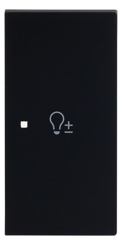 BJ 6234-22-45M Wippe 2-fach rechts m.Symbol "Dimmer"