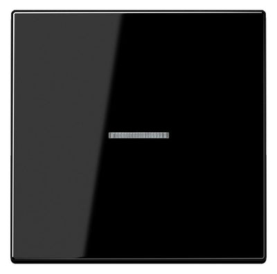 Jung LS990KO5SW Wippe Lichtleiter schwarz