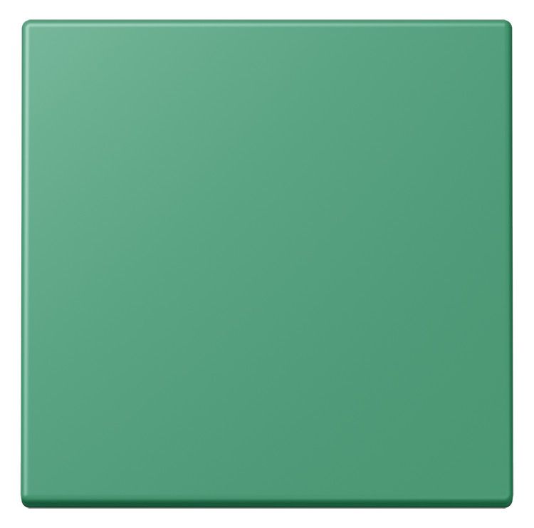 Jung LC990250 Wippe f.Schalter/Taster LC4320G