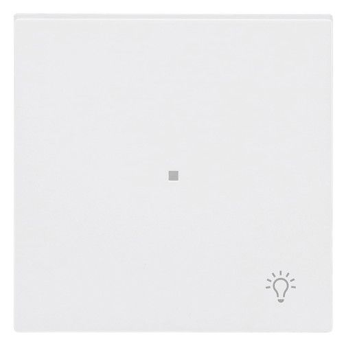 BJ 6231-10-44M Wippe 1-fach m.Symbol "Licht"