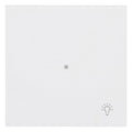 BJ 6231-10-44M Wippe 1-fach m.Symbol "Licht"