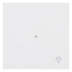 BJ 6231-10-44M Wippe 1-fach m.Symbol "Licht"