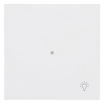 BJ 6231-10-44M Wippe 1-fach m.Symbol "Licht"