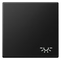 Jung A 590 L SWM Wippe 1fach Symbol Licht Serie A graphitschwarz matt