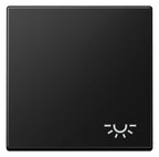 Jung A 590 L SWM Wippe 1fach Symbol Licht Serie A graphitschwarz matt