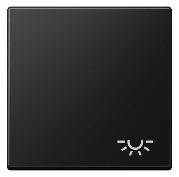 Jung A 590 L SWM Wippe 1fach Symbol Licht Serie A graphitschwarz matt