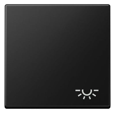 Jung A 590 L SWM Wippe 1fach Symbol Licht Serie A graphitschwarz matt