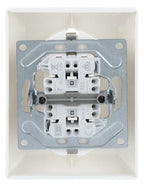 BJ 202 EUJB-914 SCHUKO® Doppelsteckdose volle Abdeckung EBS