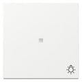 GIRA 367403 Wippe Kontrollfenster+Symbol Licht System 55 Reinweiß glänzend