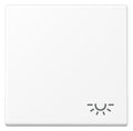 Jung A 590 L WWM Wippe 1fach Symbol Licht Serie A schneeweiß matt