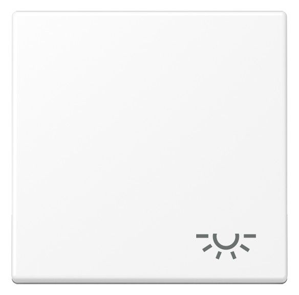 Jung A 590 L WWM Wippe 1fach Symbol Licht Serie A schneeweiß matt