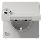 Jung LS 1520 NAKLSL LG SCHUKO-Steckdose 16A 250V Berührungs.- schutz Klappd.SF