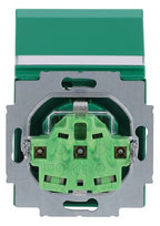 BJ 20 EUKNB-13-82 SCHUKO Steckdosen-Einsatz gn RAL6032 future