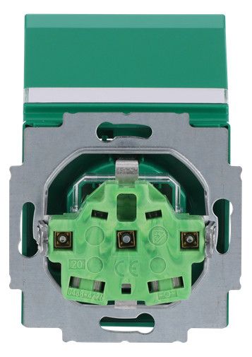 BJ 20 EUKNB-13-82 SCHUKO Steckdosen-Einsatz gn RAL6032 future
