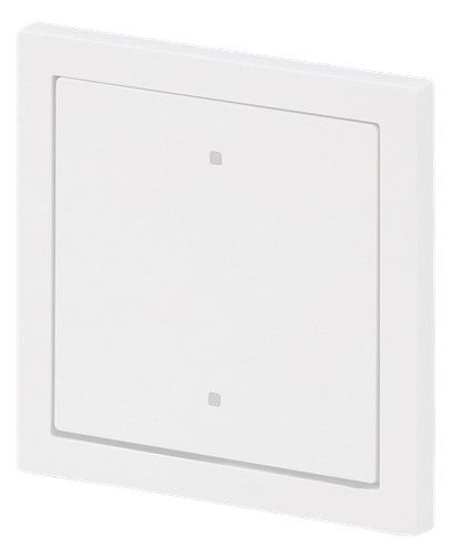 BJ 2570-10-44G Wippe f.Elektroniktaster 1-fach