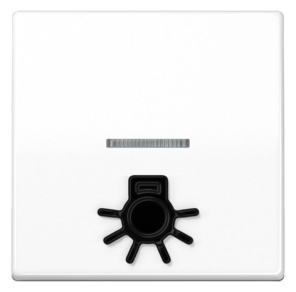 Jung SPAS591L1KO5WW Wippe m.tastbarem Symbol "Licht" KO
