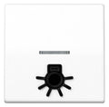 Jung SPAS591L1KO5WW Wippe m.tastbarem Symbol "Licht" KO