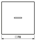 Jung GCR2990KO5L Wippe Symbol Licht m.Lichtleiter LS glanzchrom