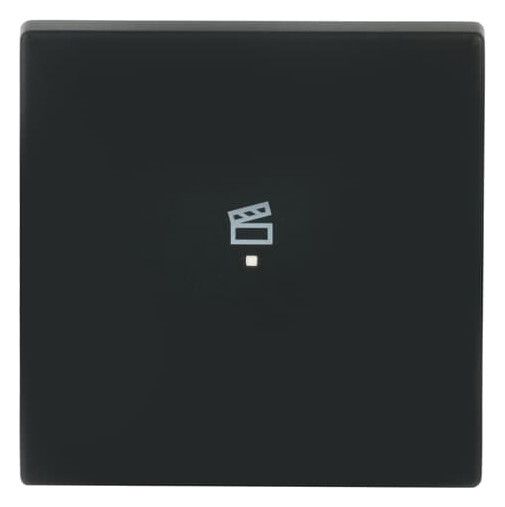 BJ 6233-10-885 Wippe 1f Szene schwarz matt Busch-free@home future linear