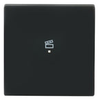BJ 6233-10-885 Wippe 1f Szene schwarz matt Busch-free@home future linear