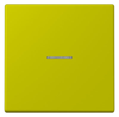 Jung LC101KO5249 Wippe m.Lichtleiter f.KNX Taster 1fa
