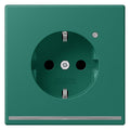 Jung LC1520-OLNW216 SCHUKO-Steckdose m.LED-Licht LC32040