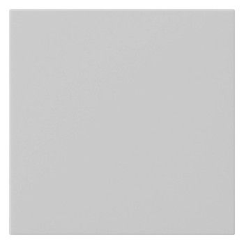GIRA 5372015 Wippe 1fach unbedruckt System 55 Grau matt (lackiert)
