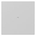 GIRA 3490015 Wippe gerade Kontroll- fenster System 55 Grau matt (lackiert)