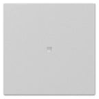 GIRA 3490015 Wippe gerade Kontroll- fenster System 55 Grau matt (lackiert)