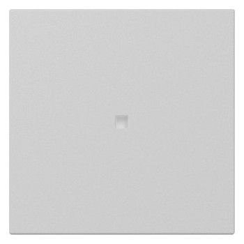 GIRA 3490015 Wippe gerade Kontroll- fenster System 55 Grau matt (lackiert)