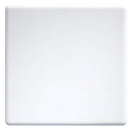 Eltako W-F2T55E/10-pg 10x Wippe f.Funktaster im E-Design55 pws 30055972