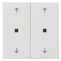 GIRA 538603 Wippe 2fach Pfeile KF System 55 Reinweiß glänzend