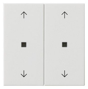 GIRA 538603 Wippe 2fach Pfeile KF System 55 Reinweiß glänzend