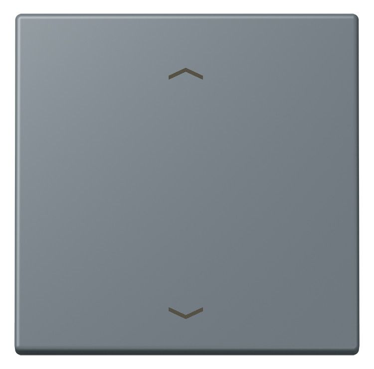 Jung LC990P251 Wippe f.Taster BA 1fach LC4320H