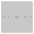 GIRA 5761015 Wippenset 1fach indiv. Tastsensor4 System 55 Grau matt (lack.)