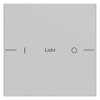 GIRA 5761015 Wippenset 1fach indiv. Tastsensor4 System 55 Grau matt (lack.)