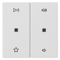 GIRA 538427 Wippe 2fach Audiosteuerung System 55 Reinweiß seidenmatt