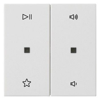 GIRA 538427 Wippe 2fach Audiosteuerung System 55 Reinweiß seidenmatt