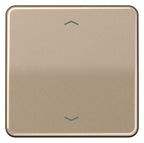 Jung CD101PGB Wippe f.Tasterpfeile