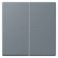 Jung LC995KO5251 Wippe f.Serienschalter KO LC4320H