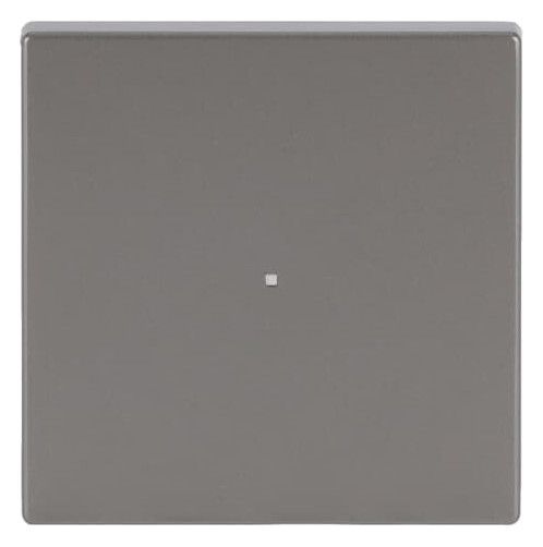BJ 6230-10-866 Wippe 1f edelstahl Busch-free@home pur Est