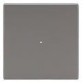 BJ 6230-10-866 Wippe 1f edelstahl Busch-free@home pur Est