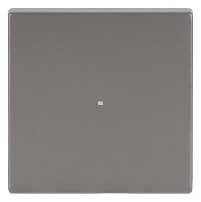 BJ 6230-10-866 Wippe 1f edelstahl Busch-free@home pur Est