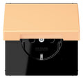 Jung LC1520BFKIKL258 SCHUKO Steckd.KI m. Klappdeckel LC4320P