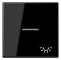 Jung A590KO5LSW Wippe Symbol Licht m.Lichtleiter Serie A schwarz