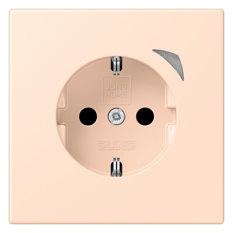 Jung BTLC1521S228 JUNG HOME SCHUKO Steckdose LC32091
