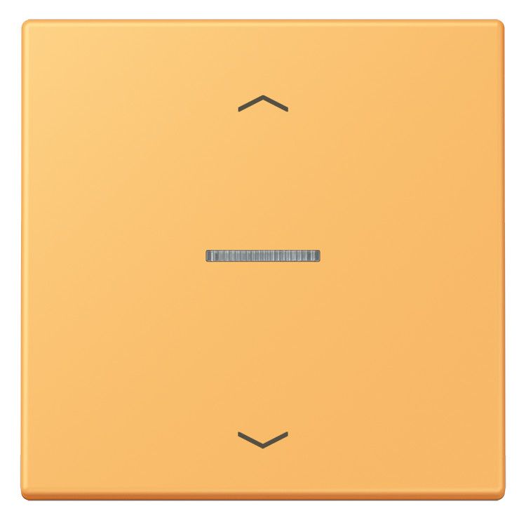 Jung LC101KO5P254 Wippe m.Lichtleiter u. Pfeilsymbolen