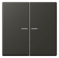 Jung LC102KO5259 Wippe m.Lichtleiter f.KNX Taster 2fa