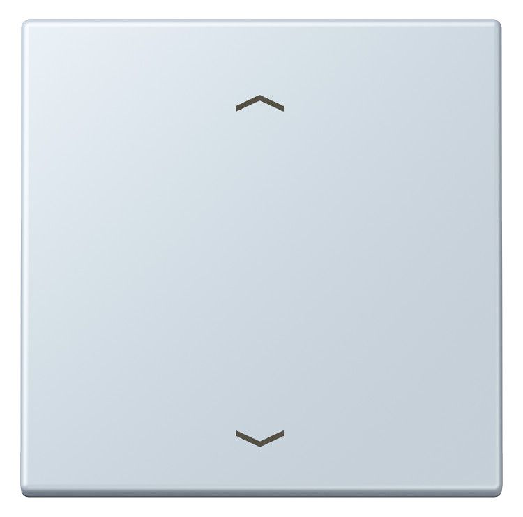Jung LC990P209 Wippe f.Taster BA 1fach LC32023