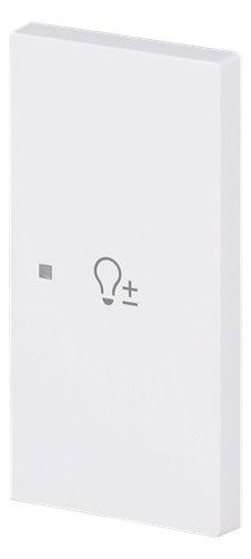 BJ 6234-22-44M Wippe 2-fach rechts m.Symbol "Dimmer"